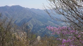 t_P1010452.jpg