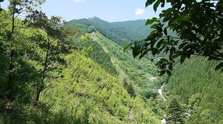 t_P1080653.jpg